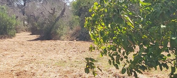 Дом с 1 спальней в Sannicola, Италия № 267734 4