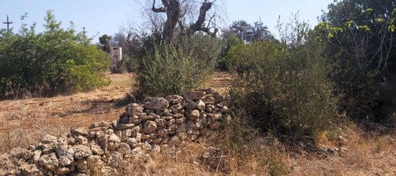 Дом с 1 спальней в Sannicola, Италия № 267734 14