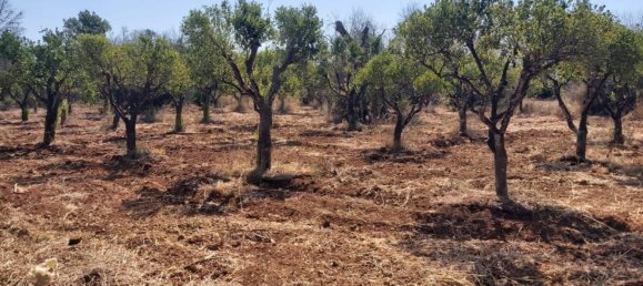 Дом с 1 спальней в Sannicola, Италия № 267734 7