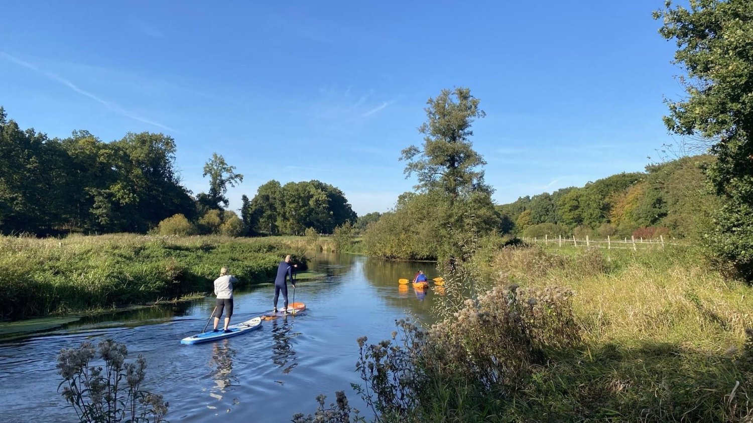 14 rooms Townhouse in Luneburg, Germany No. 360885