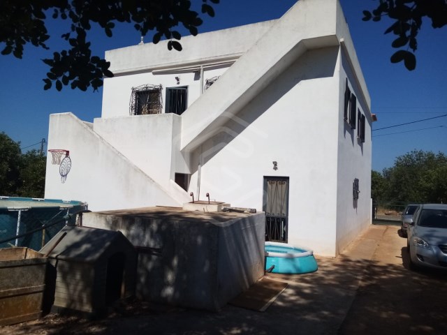 5 bedrooms House in Loule, Portugal No. 337170