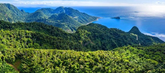 680277m² Hotel in Pointe Michel, Dominica No. 19 8