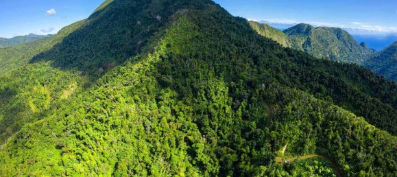 680277m² Hotel in Pointe Michel, Dominica No. 19 3