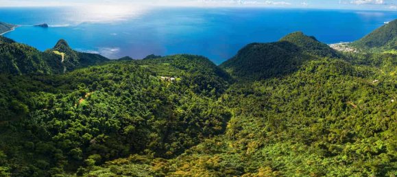 680277m² Hotel in Pointe Michel, Dominica No. 19 4