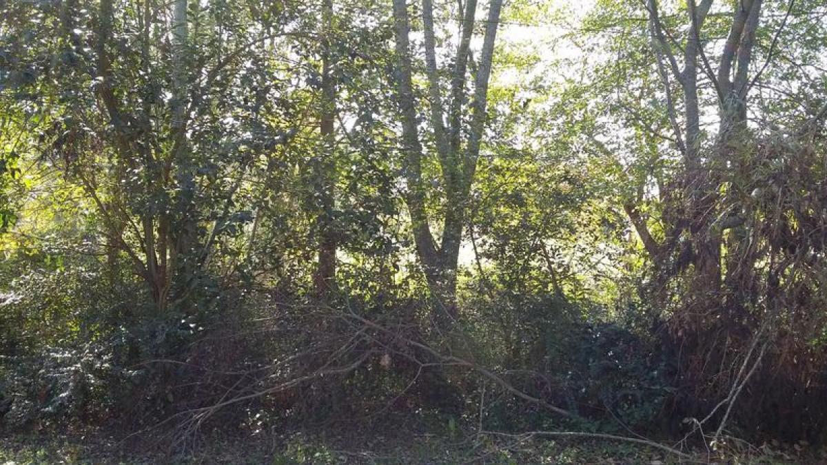  Land in Berazategui, Argentina No. 115042