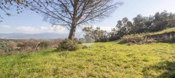 2 chambres Villa à Palombara Sabina, Italy No. 80689 17