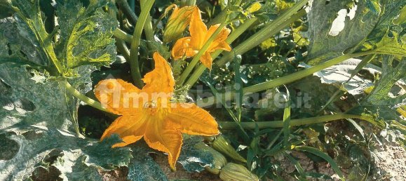 280m² Garage in Pietra Ligure, Italy No. 272736 13