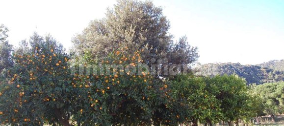 280m² Garage in Pietra Ligure, Italy No. 272736 9