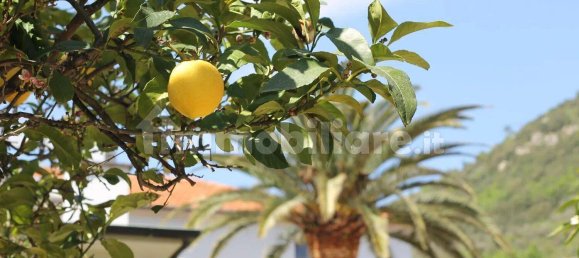 280m² Garage in Pietra Ligure, Italy No. 272736 11