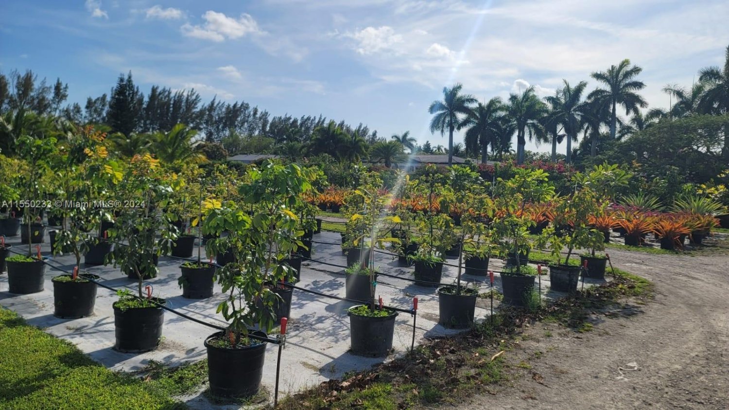 Grundstück in Miami, USA, Nr. 613509