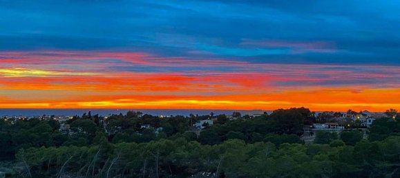 3 غرف نوم شقة في Alicante, Spain رقم 145986 35