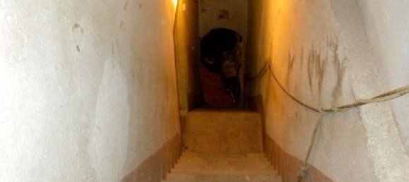 11 rooms House in San Giuliano Terme, Italy No. 87471 11