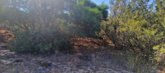 Terreno em Sardinia, Italy 5000 m² N.º 338304 13