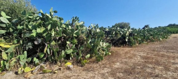 Terreno em Sardinia, Italy 5000 m² N.º 338304 7