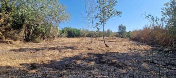 Terreno em Sardinia, Italy 5000 m² N.º 338304 2