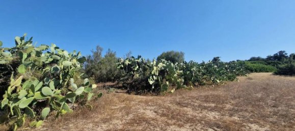 Terreno em Sardinia, Italy 5000 m² N.º 338304 14