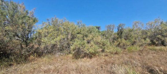 Terreno em Sardinia, Italy 5000 m² N.º 338304 9