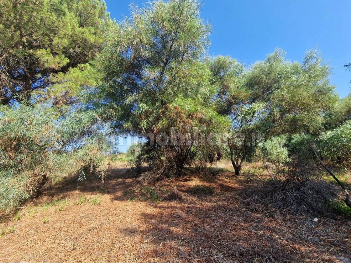 Terreno em Sardinia, Italy 5000 m² N.º 338304