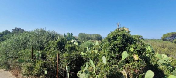 Terreno em Sardinia, Italy 5000 m² N.º 338304 5