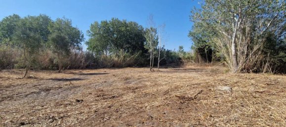 Terreno em Sardinia, Italy 5000 m² N.º 338304 6