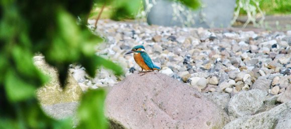 Casa de 6 habitaciónes en Schleswig-Flensburg, Germany No. 351755 23