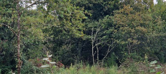 2 غرف نوم منزل في Mur-de-Sologne, France رقم 240339 4