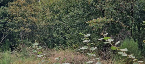 2 غرف نوم منزل في Mur-de-Sologne, France رقم 240339 3