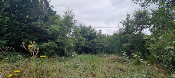 2 غرف نوم منزل في Mur-de-Sologne, France رقم 240339 2