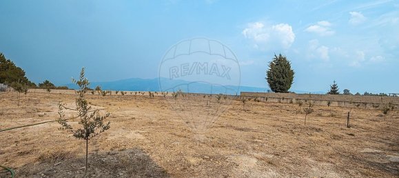 4 bedrooms House in Moimenta da Beira, Portugal No. 171422 9