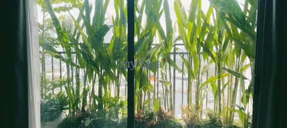 3 غرف نوم شقة في Thu Duc, Vietnam رقم 7983 8