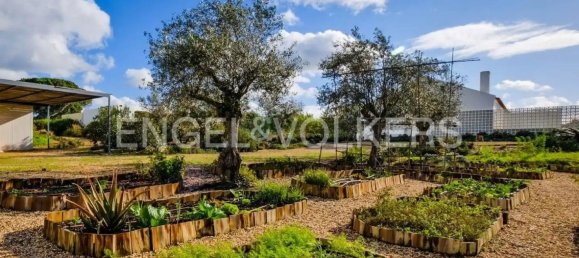 5 bedrooms House in Grandola, Portugal No. 123960 10