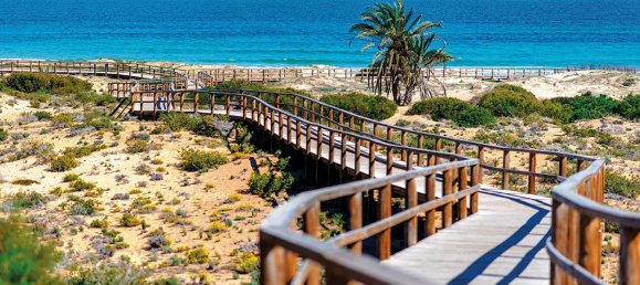 3 غرف نوم تاون هاوس في Monforte del Cid, Spain رقم 16543 17