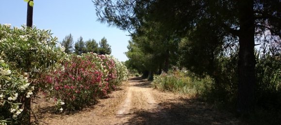  Townhouse in Zakynthos, Greece No. 6199 13