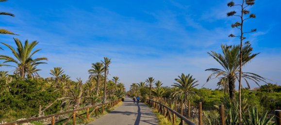 Propriété commerciale à Guardamar del Segura, Spain 148m² No. 56326 9