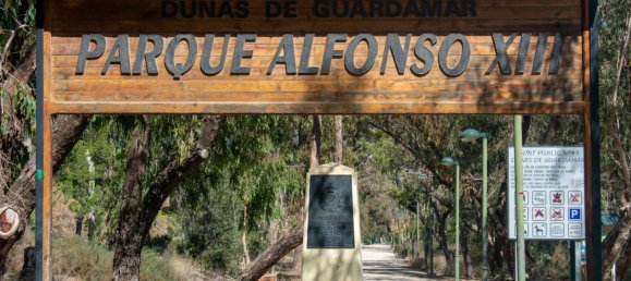 Propriété commerciale à Guardamar del Segura, Spain 148m² No. 56326 12