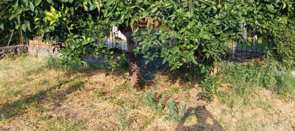 3 bedrooms House in Piedimonte Etneo, Italy No. 330041 16