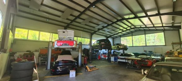 335m² Warehouse in Graz, Austria No. 243610 2