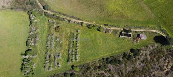 Terreno em Sintra, Portugal 9880 m² N.º 64265 4