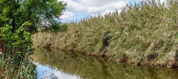 Villa T8 em Silves, Portugal N.º 100658 16