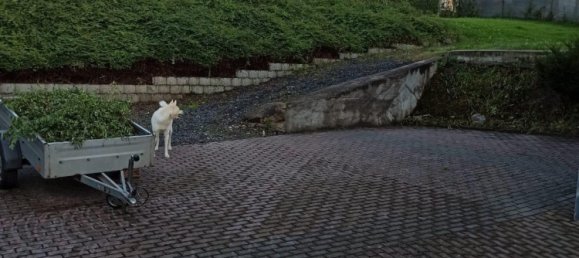 3 غرف نوم منزل في Schmalkalden-Meiningen, Germany رقم 288553 8