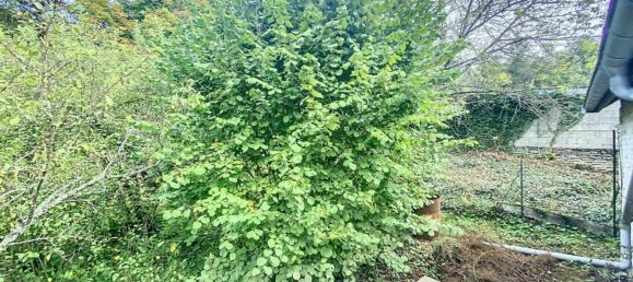 3 غرف نوم فيلا في Aubepierre-sur-Aube, France رقم 53383 7