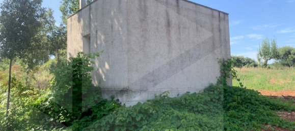 استوديو في Monopoli, Italy رقم 28493 18