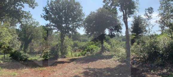 استوديو في Monopoli, Italy رقم 28493 15