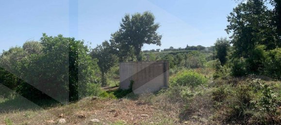 استوديو في Monopoli, Italy رقم 28493 4