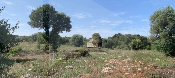 استوديو في Monopoli, Italy رقم 28493 9