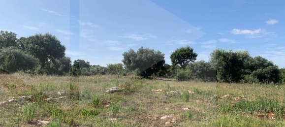 استوديو في Monopoli, Italy رقم 28493 3