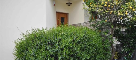 2 rooms Villa in Forte dei Marmi, Italy No. 258687 5