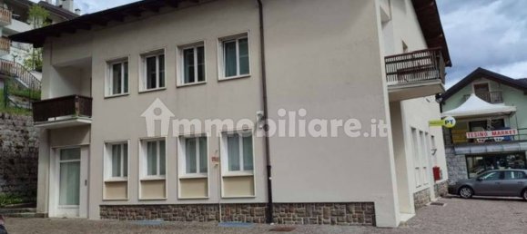 Propiedad comercial de 3 habitaciónes en Pieve Tesino, Italy No. 210990 2