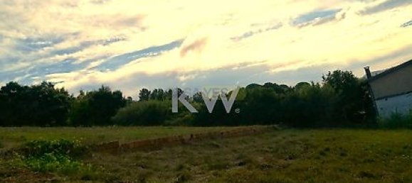 5535m² Land in Coimbra, Portugal No. 21234 4