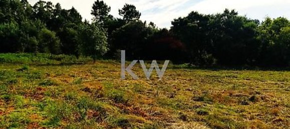 5535m² Land in Coimbra, Portugal No. 21234 7